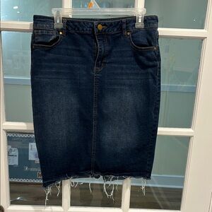 Blue knee length Denim Skirt
